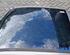 Roof PEUGEOT 3008 MPV (0U_)