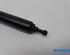 Gas Spring RENAULT MEGANE III Hatchback (BZ0/1_, B3_)