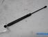 Gas Spring RENAULT CLIO IV Grandtour (KH_), RENAULT CLIO III Grandtour (KR0/1_)