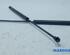 Bootlid (Tailgate) Gas Strut Spring RENAULT Twingo III (BCM)