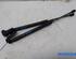 Bootlid (Tailgate) Gas Strut Spring OPEL Karl (C16)