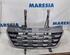 Radiator Grille RENAULT Master III Kasten (FV)