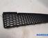 Radiator Grille FIAT 500 (312_), FIAT 500 C (312_)