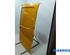 Rear Door RENAULT TRAFIC III Van (FG_)