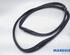 Door Seal PEUGEOT 3008 Großraumlimousine (0U_)