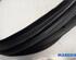 Door Seal RENAULT Zoe (BFM)