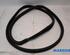 Door Seal FIAT PANDA (312_, 319_), LANCIA YPSILON (312_), FIAT PANDA VAN (312_, 519_)