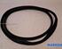 Door Seal RENAULT ARKANA I (LCM_, LDN_)