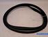 Door Seal RENAULT ARKANA I (LCM_, LDN_)