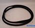 Door Seal RENAULT ARKANA I (LCM_, LDN_)