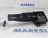 Door Handle RENAULT MEGANE IV Hatchback (B9A/M/N_)