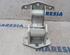 Door Hinge RENAULT Trafic III Kasten (FG)