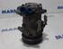 Air Conditioning Compressor RENAULT CLIO III (BR0/1, CR0/1)