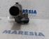 EGR Valve RENAULT MEGANE IV Grandtour (K9A/M/N_)