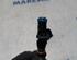 Injector Nozzle RENAULT Clio IV Grandtour (KH)