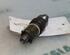 Injector Nozzle RENAULT KANGOO (KC0/1_)