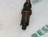 Injector Nozzle RENAULT Laguna I (556, B56)