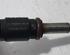 Injector Nozzle PEUGEOT 207 CC (WD)