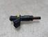 Injector Nozzle PEUGEOT 308 CC (4B)