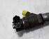 Injector Nozzle RENAULT Master III Kasten (FV), RENAULT Master III Pritsche/Fahrgestell (EV, HV, UV)