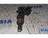 Injector Nozzle FIAT DOBLO Cargo (263_), FIAT DOBLO MPV (263_)