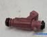 Injector Nozzle FIAT BRAVO I (182_), FIAT BRAVO II (198_), LANCIA YPSILON (843_), FIAT DOBLO Cargo (263_)