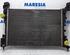 Radiator FIAT GRANDE PUNTO (199_), FIAT PUNTO EVO (199_), FIAT PUNTO (199_)