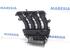 Intake Manifold RENAULT CLIO III (BR0/1, CR0/1)