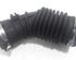 Air Filter Intake Pipe RENAULT Captur I (H5, J5), RENAULT Clio IV (BH)