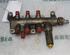 Petrol Fuel Rail RENAULT ESPACE IV (JK0/1_)