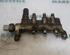 Petrol Fuel Rail RENAULT VEL SATIS (BJ0_)