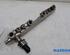 Petrol Fuel Rail RENAULT KANGOO / GRAND KANGOO (KW0/1_)