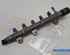 Petrol Fuel Rail RENAULT ESPACE IV (JK0/1_), RENAULT TRAFIC II Van (FL), RENAULT KOLEOS I (HY_)