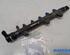 Petrol Fuel Rail RENAULT ESPACE IV (JK0/1_), RENAULT TRAFIC II Van (FL), RENAULT KOLEOS I (HY_)