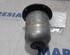 Fuel Filter RENAULT KANGOO Express (FW0/1_)