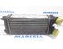 Intercooler CITROËN BERLINGO Box Body/MPV (B9), CITROËN BERLINGO Platform/Chassis (B9)