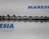 Camshaft RENAULT MEGANE III Hatchback (BZ0/1_, B3_)