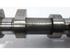 Camshaft RENAULT Captur I (H5, J5), RENAULT Clio IV (BH)