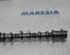 Camshaft PEUGEOT 107 (PM, PN)