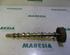 Camshaft RENAULT Clio III (BR0/1, CR0/1)