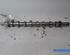 Camshaft RENAULT KANGOO Express (FW0/1_)