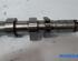 Camshaft RENAULT KANGOO Express (FW0/1_)