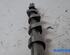 Camshaft RENAULT KANGOO Express (FW0/1_)