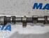 Camshaft FIAT ULYSSE (220_)