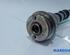 Camshaft FIAT DUCATO Van (250_, 290_)