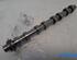 Camshaft PEUGEOT 208 I (CA_, CC_)