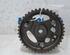 Camshaft Gear RENAULT Captur I (H5, J5), RENAULT Clio IV (BH)