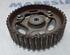 Camshaft Gear RENAULT MEGANE III Hatchback (BZ0/1_, B3_)