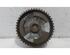 Camshaft Gear PEUGEOT EXPERT Van (VF3A_, VF3U_, VF3X_), PEUGEOT EXPERT Platform/Chassis