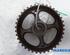 Camshaft Gear RENAULT LAGUNA III Grandtour (KT0/1)